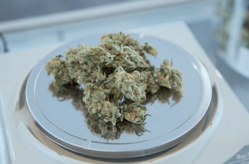 cbd produkter