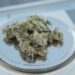 cbd produkter