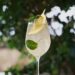 limoncello spritz